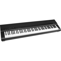 Цифровое пианино Medeli SP201