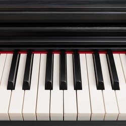 Цифровое пианино Rockdale Keys RDP-5088