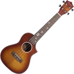 Гитара Bamboo BU-26
