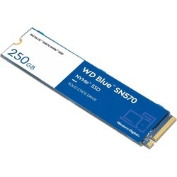 SSD WD WD WDS500G3B0C