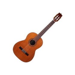 Гитара Martinez FAC-1050