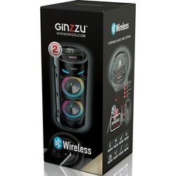 Аудиосистемы Ginzzu GM-220