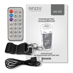 Аудиосистемы Ginzzu GM-220