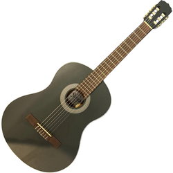 Акустические гитары ARIA Fiesta FST-C65