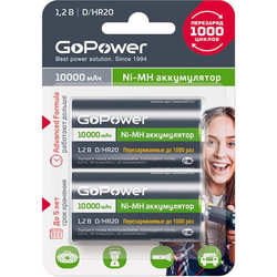 Аккумулятор / батарейка GoPower 2xD 10000 mAh