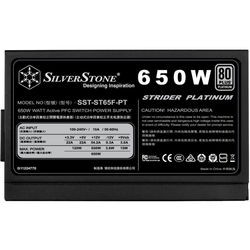Блок питания SilverStone ST65F-PT