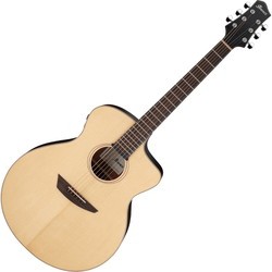 Акустические гитары Ibanez PA300E