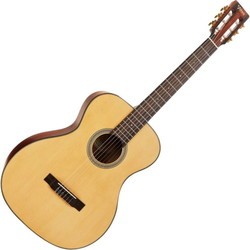 Акустические гитары Valencia VA434
