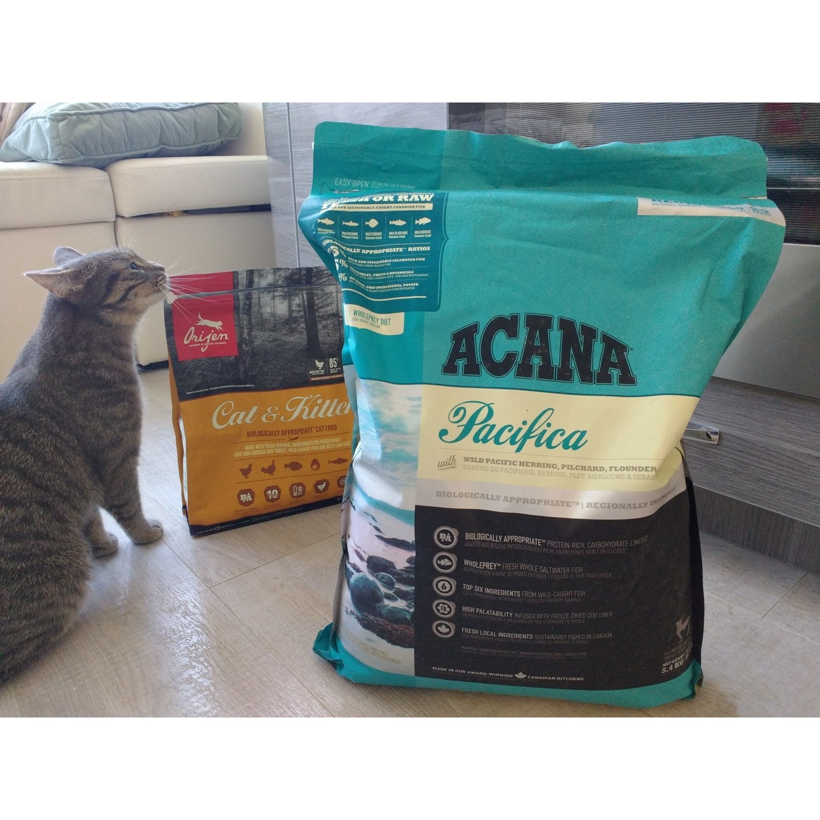 Где можно купить корм для кошек. Кошачий корм Acana. Канадский кошачий корм Acana. Acana для стерилизованных кошек. Сухой корм для кошек Acana Pacifica.