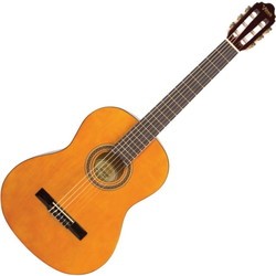 Акустические гитары Valencia 3910A