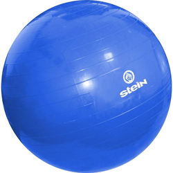 Мячи для фитнеса и фитболы Stein LGB-1502-65
