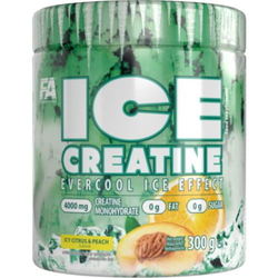 Креатин Fitness Authority Ice Creatine 300 g