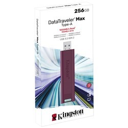 USB-флешки Kingston DataTraveler Max USB-A 256Gb