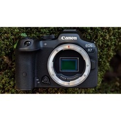 Фотоаппараты Canon EOS R7 kit