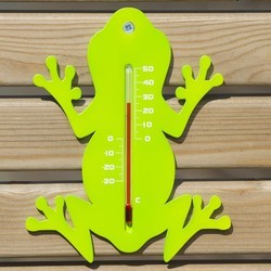Термометры и барометры Lumarko Frog