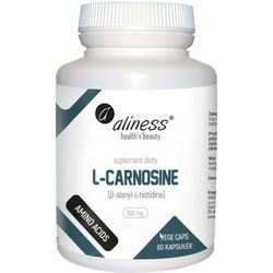 Аминокислоты Aliness L-Carnosine 500 mg 60 cap