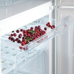 Холодильники Snaige RF36SM-S0002F