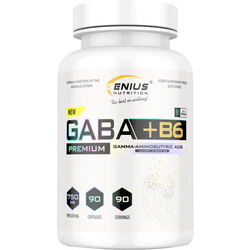 Аминокислоты Genius Nutrition GABA + B6 90 cap