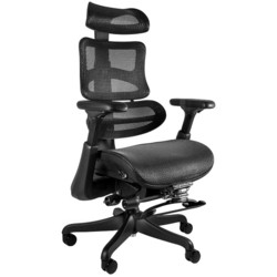 Компьютерные кресла Unique Ergothrone with Footstool