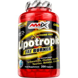 Сжигатели жира Amix Lipotropic Fat Burner 100 cap