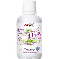 Сжигатели жира Amix CarniLine 2000 mg 480 ml