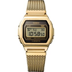 Наручные часы Casio A1000MGA-5E