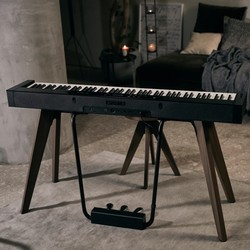Цифровые пианино Casio Privia PX-S7000