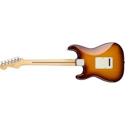 Электро и бас гитары Fender Player Stratocaster Plus Top