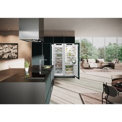 Встраиваемые холодильники Liebherr Plus IXRFS 5125