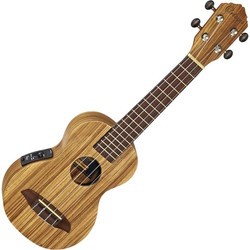 Акустические гитары Ortega RU10ZE
