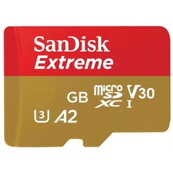 Карты памяти SanDisk Extreme V30 A2 UHS-I U3 microSDXC for Mobile Gaming 256Gb