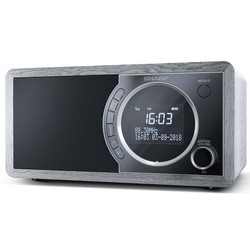 Радиоприемники и настольные часы Sharp DR-450 (черный)