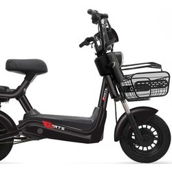 Электромопеды и электромотоциклы Forte WN500 (черный)