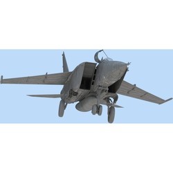 Сборные модели (моделирование) ICM MiG-25 RBT (1:48)