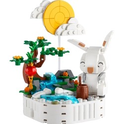 Конструкторы Lego Jade Rabbit 40643