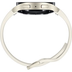 Смарт часы и фитнес браслеты Samsung Galaxy Watch6  44mm LTE (серебристый)