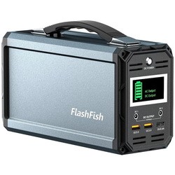 Зарядные станции Flashfish G300