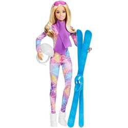 Куклы Barbie Skier Doll HGM73