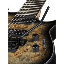 Электро и бас гитары Dean Guitars Exile Select 7 Floyd