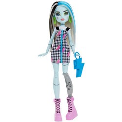 Куклы Monster High Frankie Stein HKY76