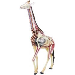3D пазлы 4D Master Giraffe 622011