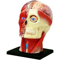 3D пазлы 4D Master Head 626103