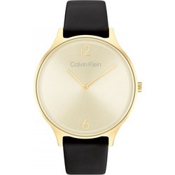 Наручные часы Calvin Klein 25200008