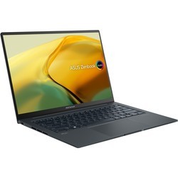 Ноутбуки Asus Zenbook 14X OLED UX3404VA [UX3404VA-M9192X]