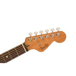 Акустические гитары Fender Highway Series Parlor All Mahogany