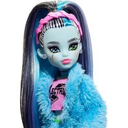 Куклы Monster High Creepover Party Frankie Stein HKY68