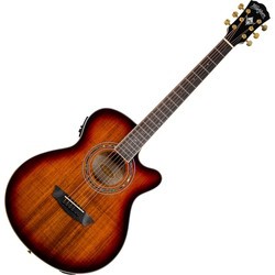 Акустические гитары Washburn EA55G