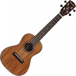 Акустические гитары Alvarez RU90CP