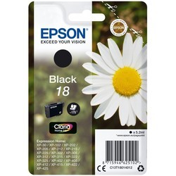 Картриджи Epson T1801 C13T18014012
