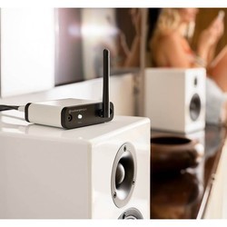Аудиоресиверы Audioengine B-Fi Multiroom Music Streamer